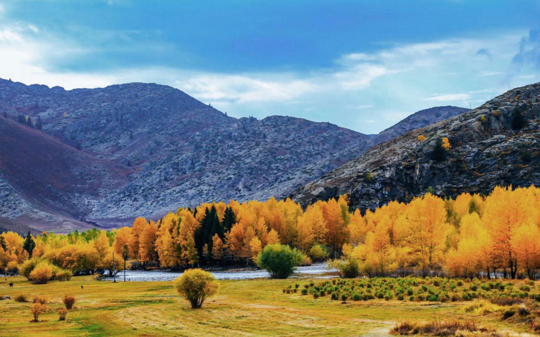 民宿設計|民宿規(guī)劃|民宿酒店設計|民宿客棧設計|鄉(xiāng)村民宿設計|民宿設計案例|民宿設計公司|特色民宿設計|園林酒店設計|生態(tài)酒店設計|集裝箱民宿設計|集裝箱酒店設計|田園綜合體設計|文創(chuàng)園設計|度假酒店設計|溫泉度假村設計|旅游酒店設計|集裝箱街區(qū)設計|集裝箱酒店設計|文旅產(chǎn)業(yè)規(guī)劃|特色小鎮(zhèn)設計|旅游小鎮(zhèn)規(guī)劃|全域旅游規(guī)劃|產(chǎn)業(yè)園規(guī)劃