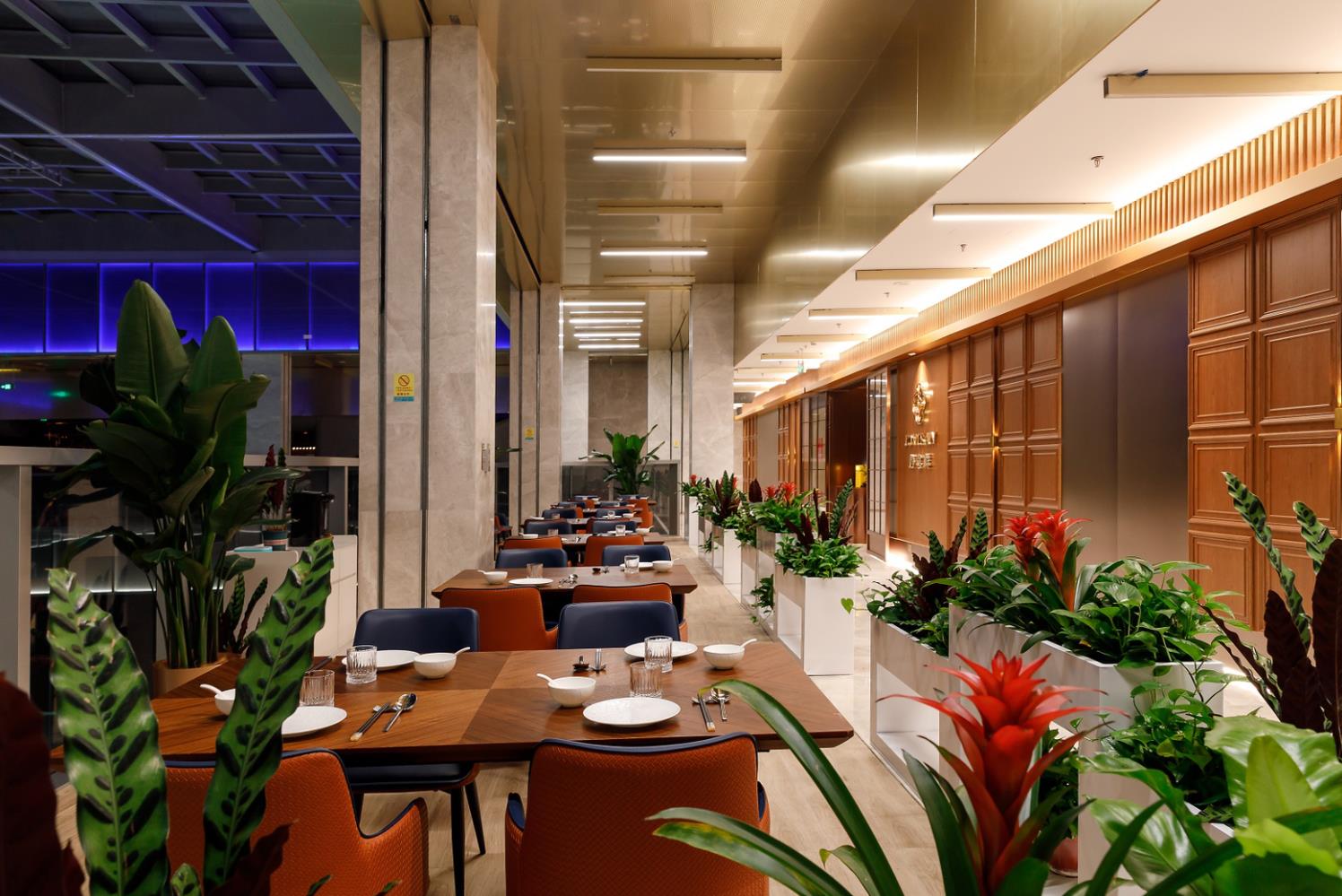 民宿設(shè)計(jì)|民宿規(guī)劃|民宿酒店設(shè)計(jì)|民宿客棧設(shè)計(jì)|鄉(xiāng)村民宿設(shè)計(jì)|民宿設(shè)計(jì)案例|民宿設(shè)計(jì)公司|特色民宿設(shè)計(jì)|園林酒店設(shè)計(jì)|生態(tài)酒店設(shè)計(jì)|集裝箱民宿設(shè)計(jì)|集裝箱酒店設(shè)計(jì)|田園綜合體設(shè)計(jì)|文創(chuàng)園設(shè)計(jì)|度假酒店設(shè)計(jì)|溫泉度假村設(shè)計(jì)|旅游酒店設(shè)計(jì)|集裝箱街區(qū)設(shè)計(jì)|集裝箱酒店設(shè)計(jì)|文旅產(chǎn)業(yè)規(guī)劃|特色小鎮(zhèn)設(shè)計(jì)|旅游小鎮(zhèn)規(guī)劃|全域旅游規(guī)劃|產(chǎn)業(yè)園規(guī)劃